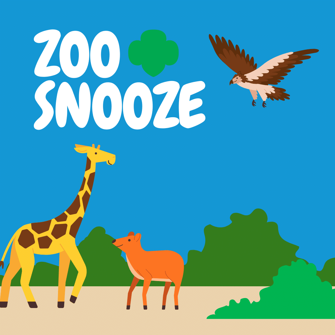 Read more about the article Zoo Snooze